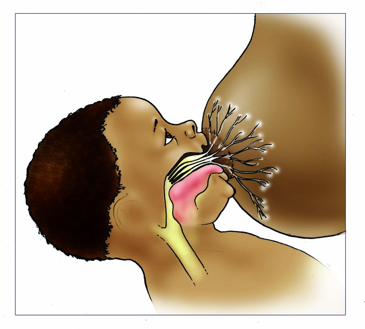 Breastfeeding - Breastfeeding good attachment inside 0-6 mo - 02A - Nigeria