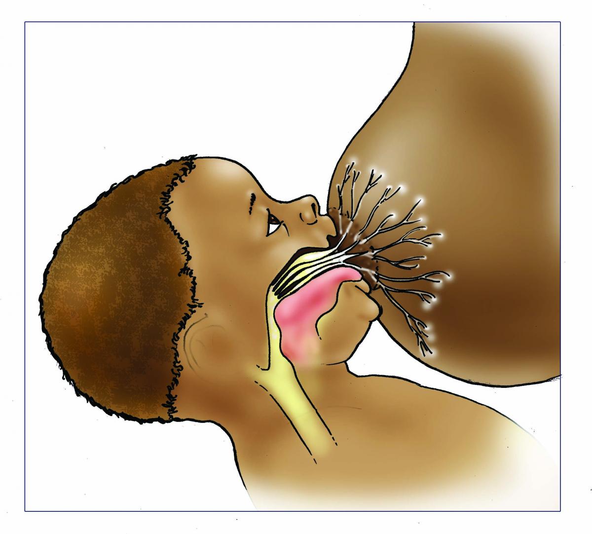 Breastfeeding - Breastfeeding good attachment inside 0-6 mo - 02B - Nigeria