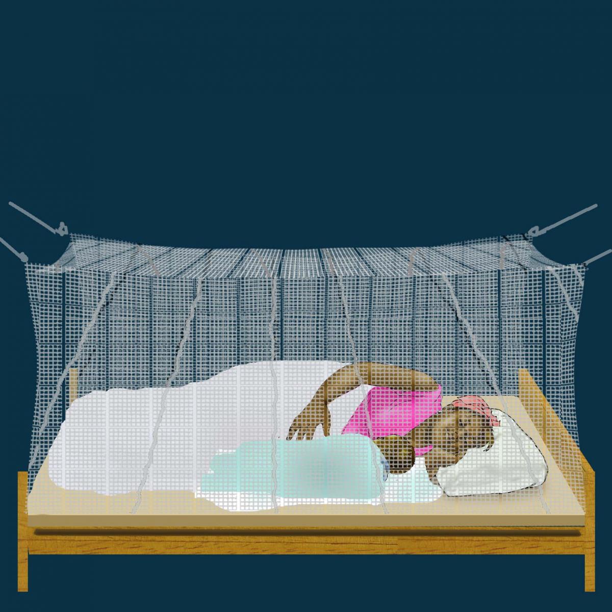 Malaria - Mother sleeping with infant under mosquito net - 02 - Unknown