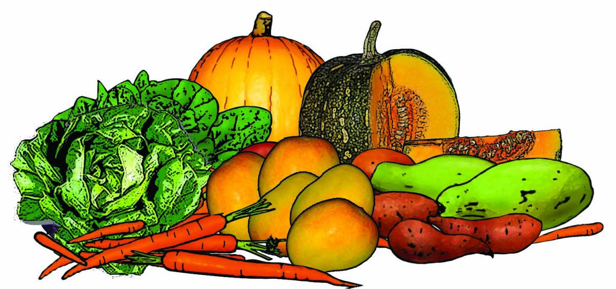 Food - Vitamin A Food Group - 00A - Non-country specific