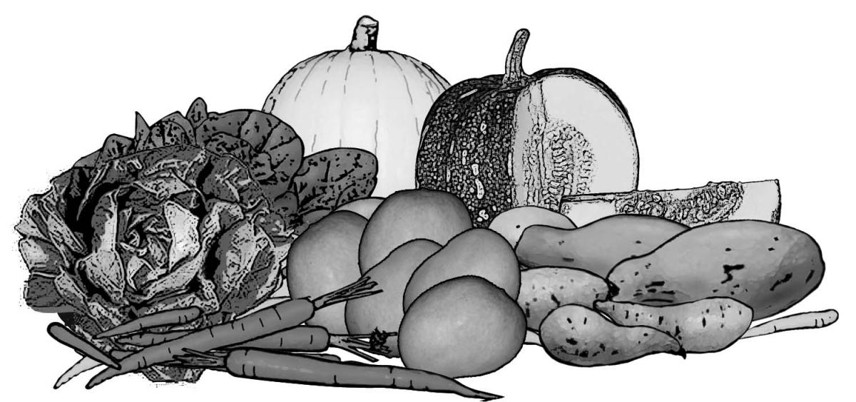 Food - Vitamin A Food Group - 00A - Non-country specific