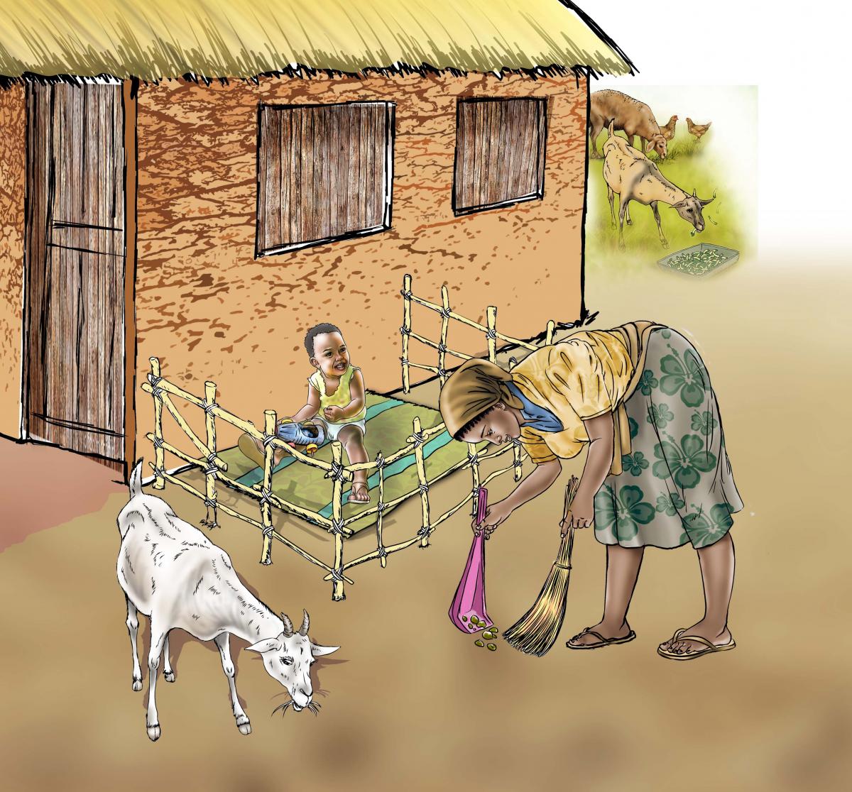 Sanitation - Cleaning up animal feces - 04 - Sierra Leone