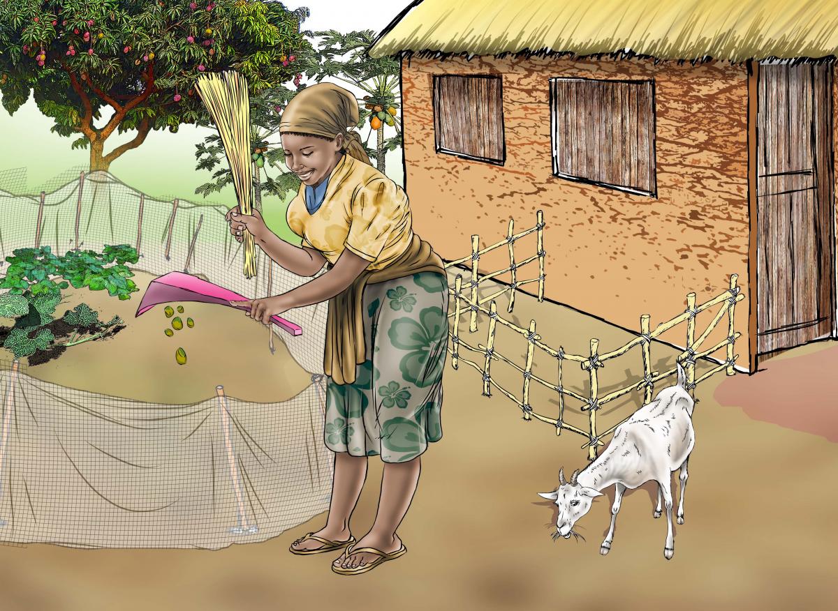 Sanitation - Cleaning up animal feces - 05 - Sierra Leone