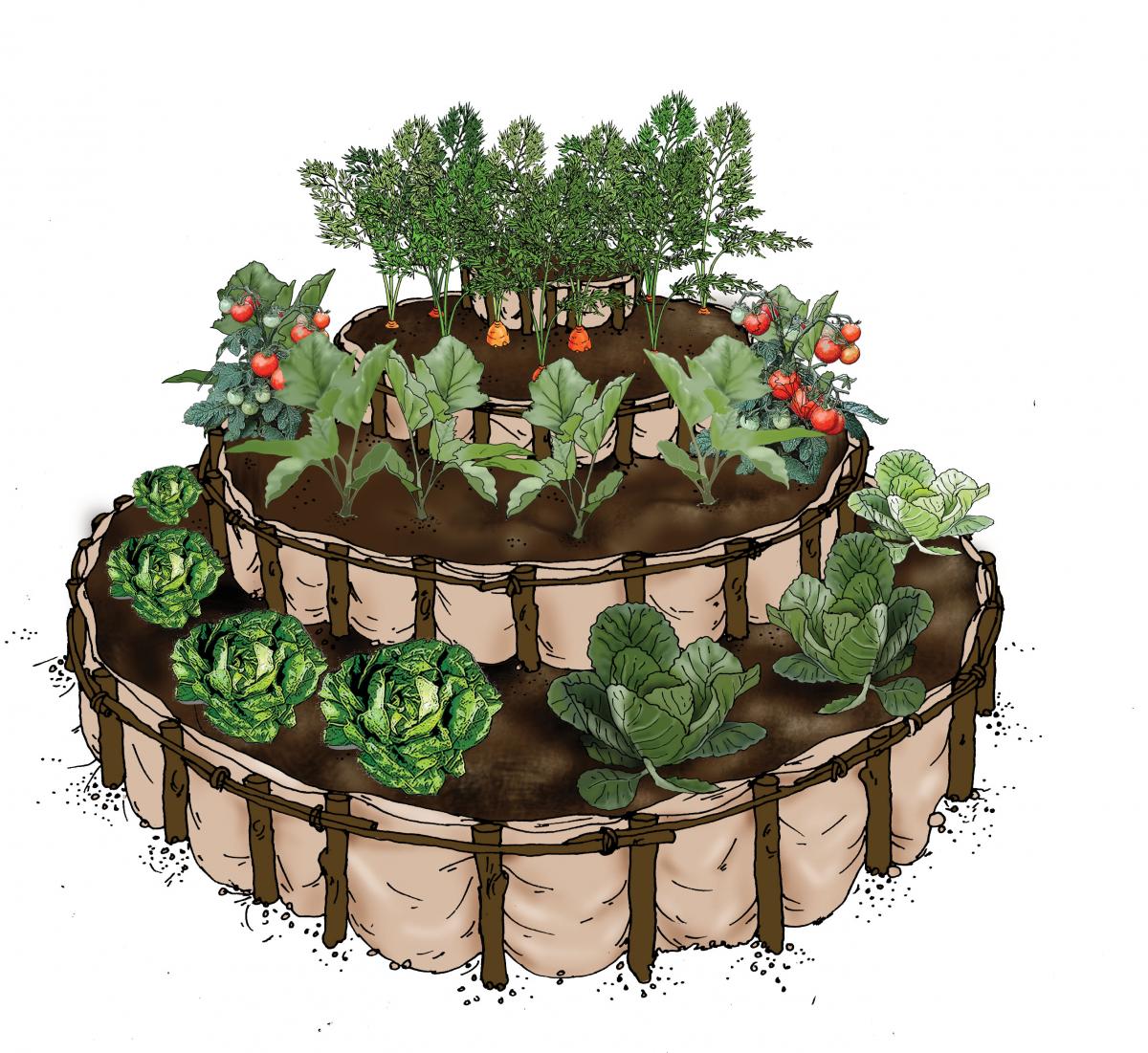 Horticulture - Kitchen garden - 01A - Rwanda