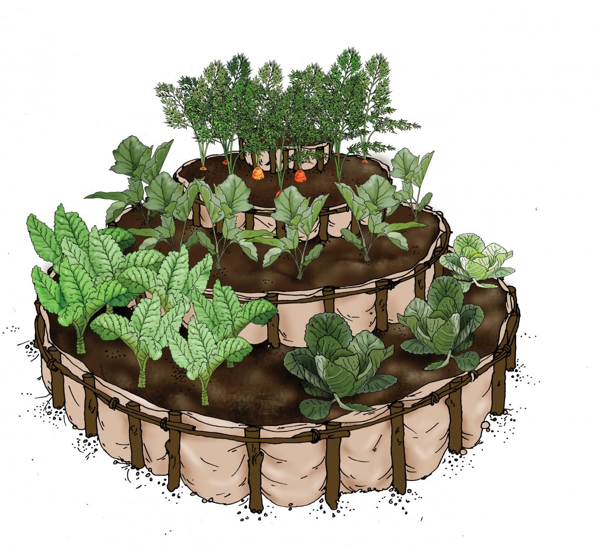 Horticulture - Kitchen garden - 01B - Rwanda