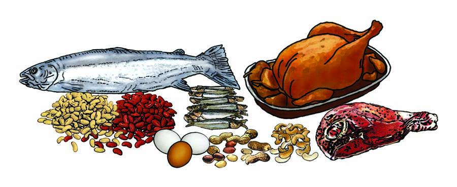 Food - Protein - 00A - Non-country specific