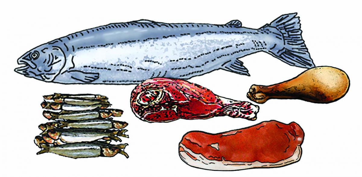 Food - Meats - 00E - Non-country specific