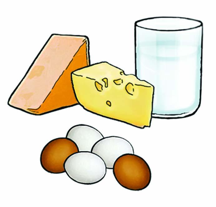 Food - Dairy Only - 00G - Non-country specific
