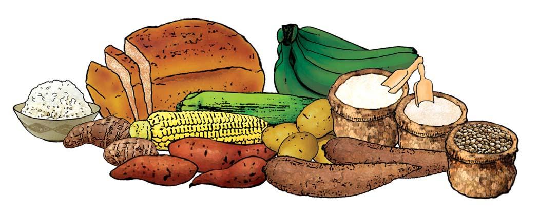 Food - Grains and starches - 00K - Non-country specific
