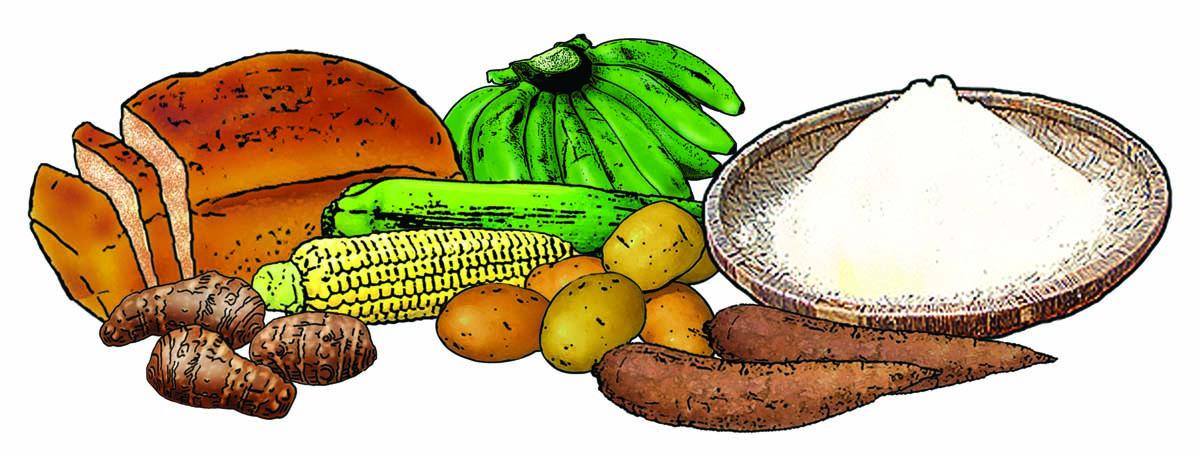 Food - Grains - 00L - Non-country specific