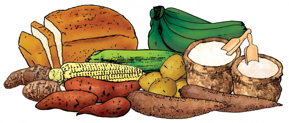Food - Grains and starches - 00M - Non-country specific
