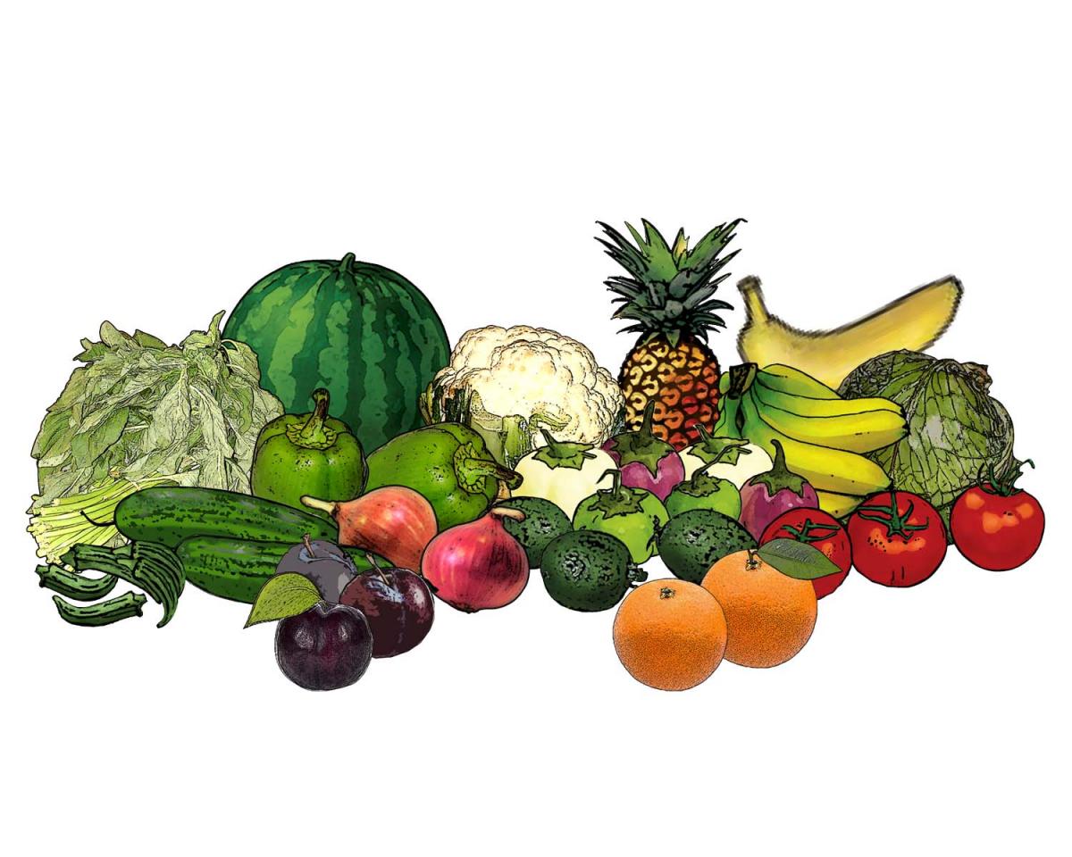 Food - Vegetables and Fruits - 00R - Non-country specific