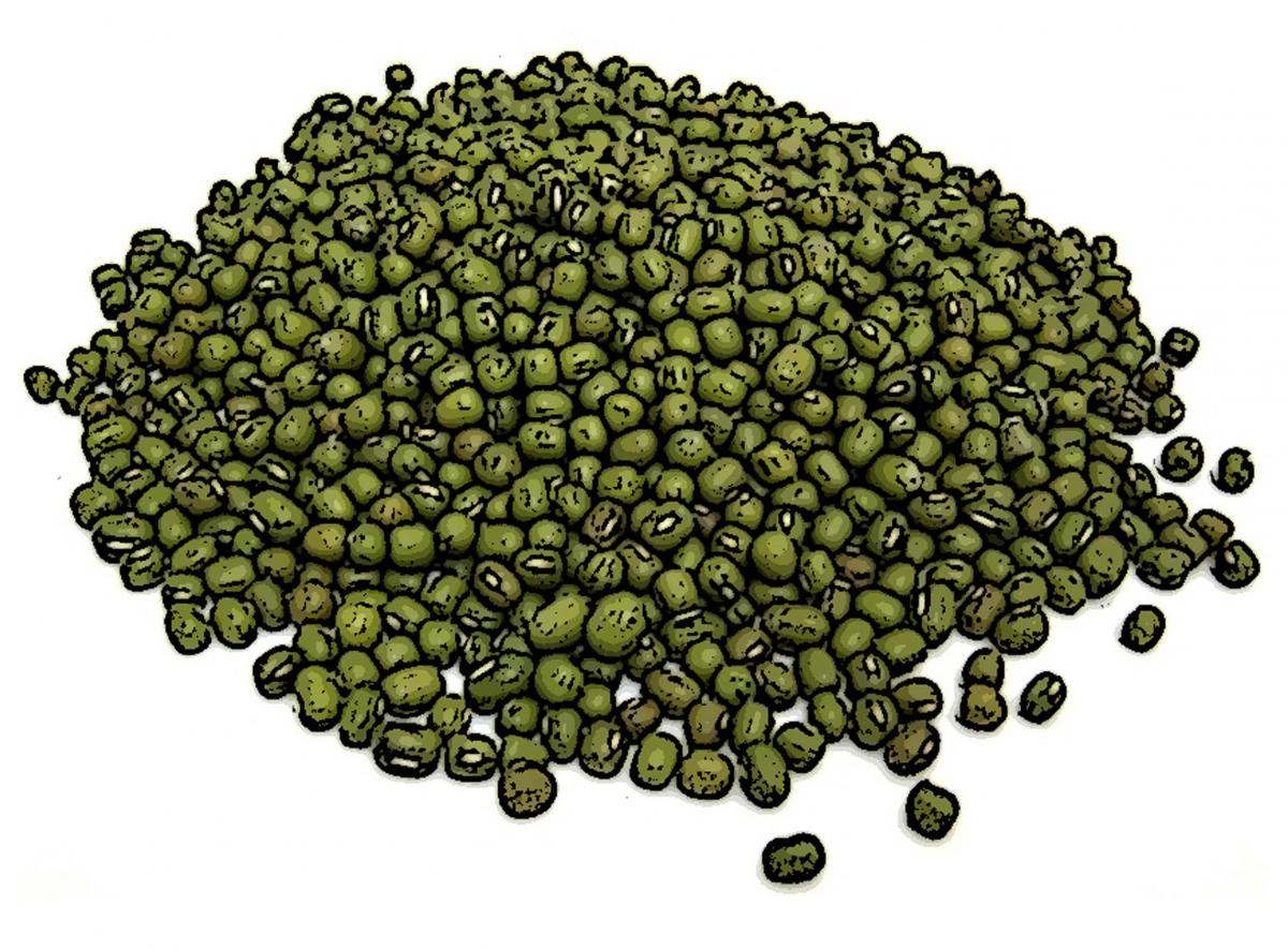 Food - Peas - 00B - Non-country specific