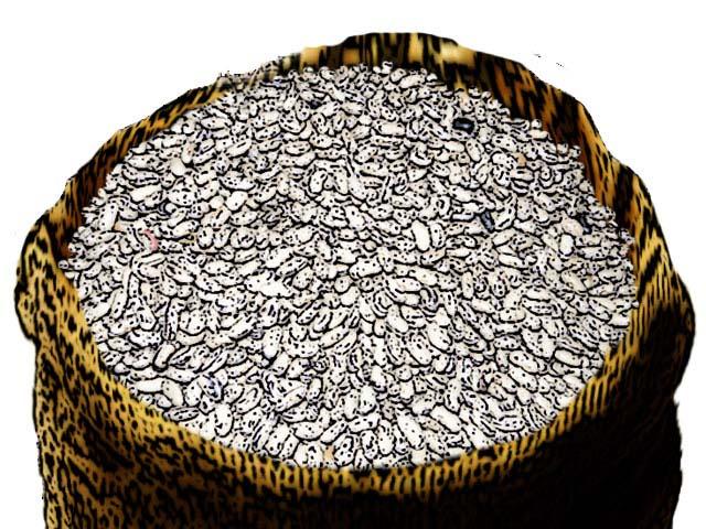 Food - Bag of white beans - 00C - Non-country specific