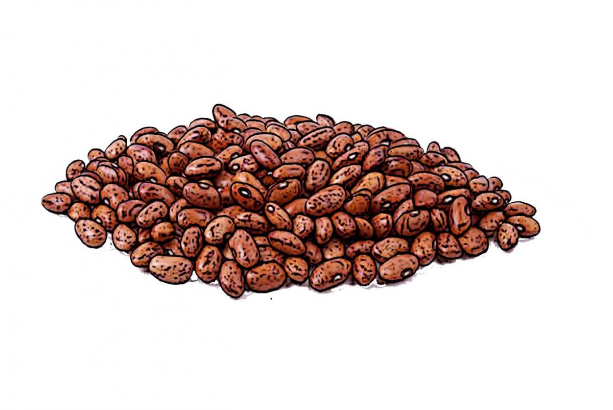 Food - Kidney Beans - 00E - Non-country specific