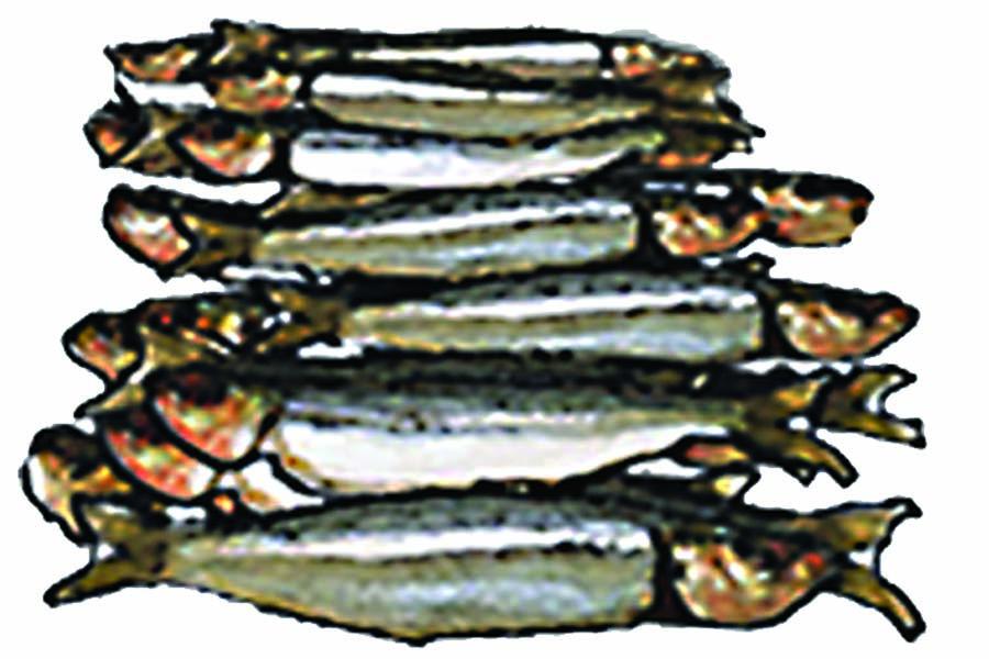 Food - Fish - 00D - Non-country specific