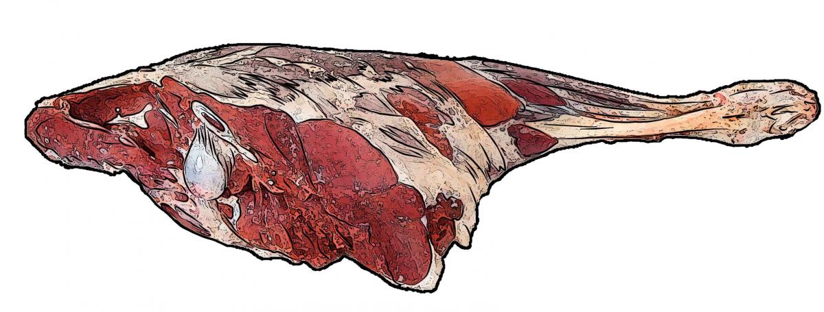 Food - Meat - 00F - Non-country specific