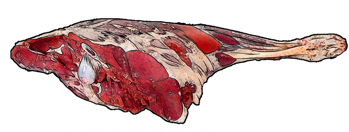 Food - Goat meat - 00Q - Non-country specific
