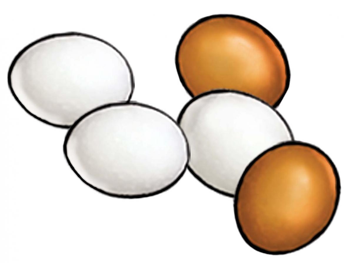 Food - Eggs - 00D - Non-country specific