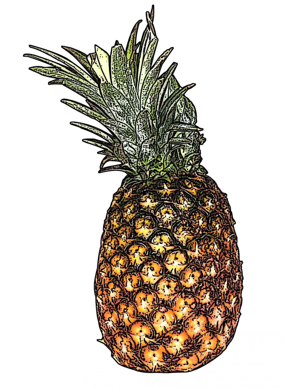 Food - Pineapple - 00L - Non-country specific