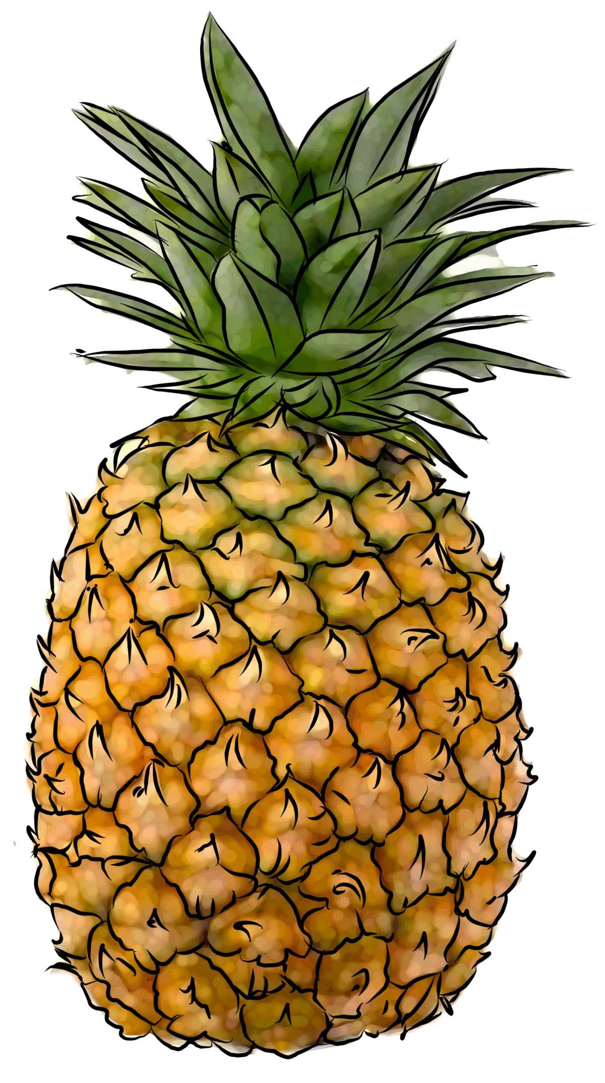Food - Pineapple - 00M - Non-country specific