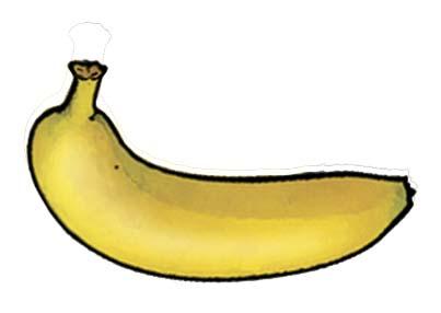 Food - Banana - 00N - Non-country specific