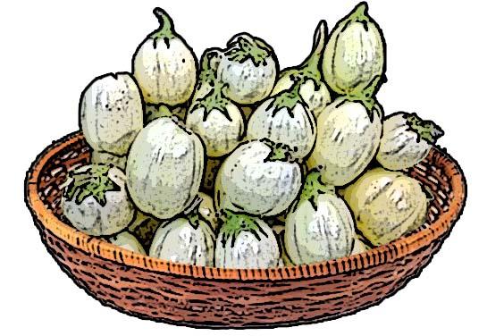Food - Garden Eggs - 00B - Non-country specific