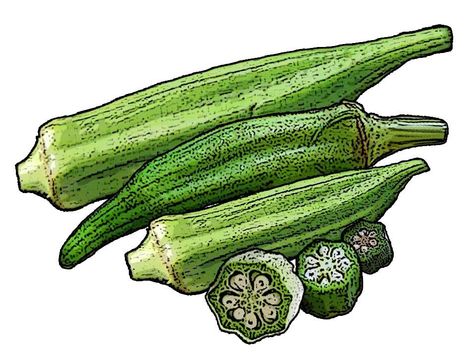 Food - Okra - 00E - Non-country specific