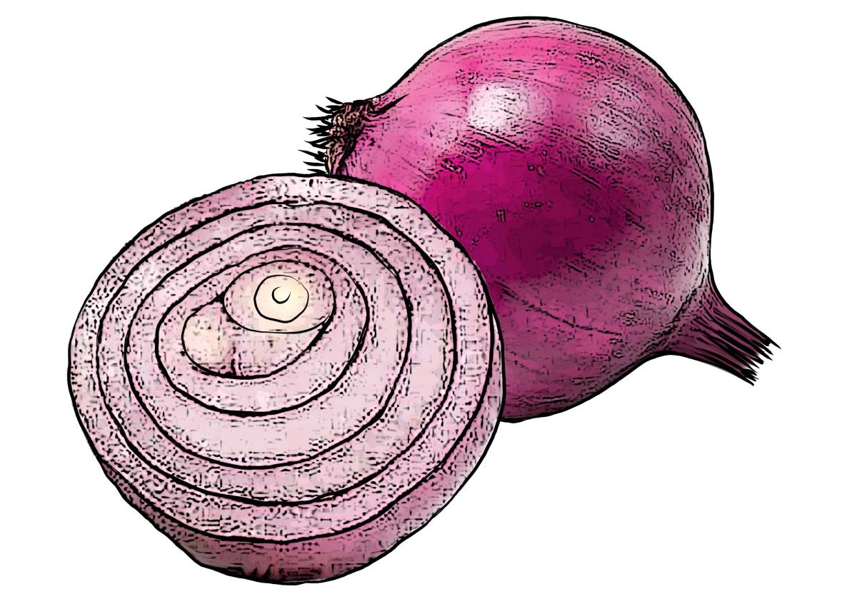 Food - Red Onion - 00F - Non-country specific
