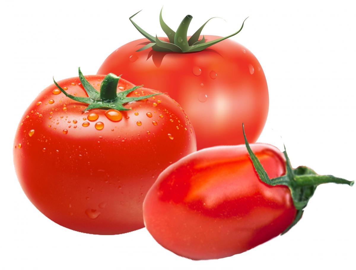 Food - Tomato - 00H - Non-country specific