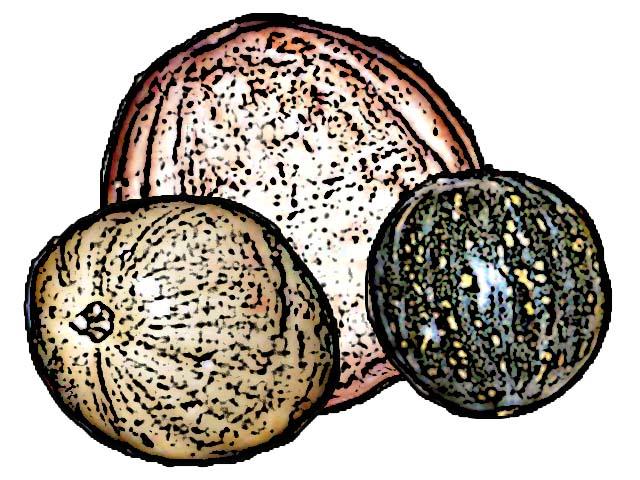 Food - Pumpkins - 00A - Non-country specific