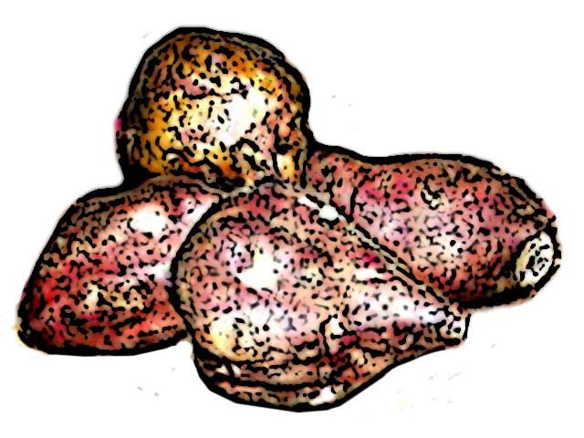 Food - Paw Paw - 00F - Non-country specific