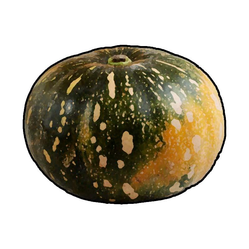 Food - Pumpkins - 00G - Non-country specific