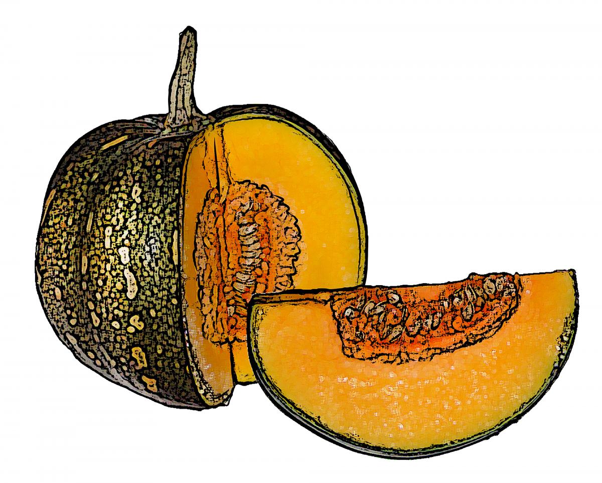 Food - Pumpkins - 00H - Non-country specific