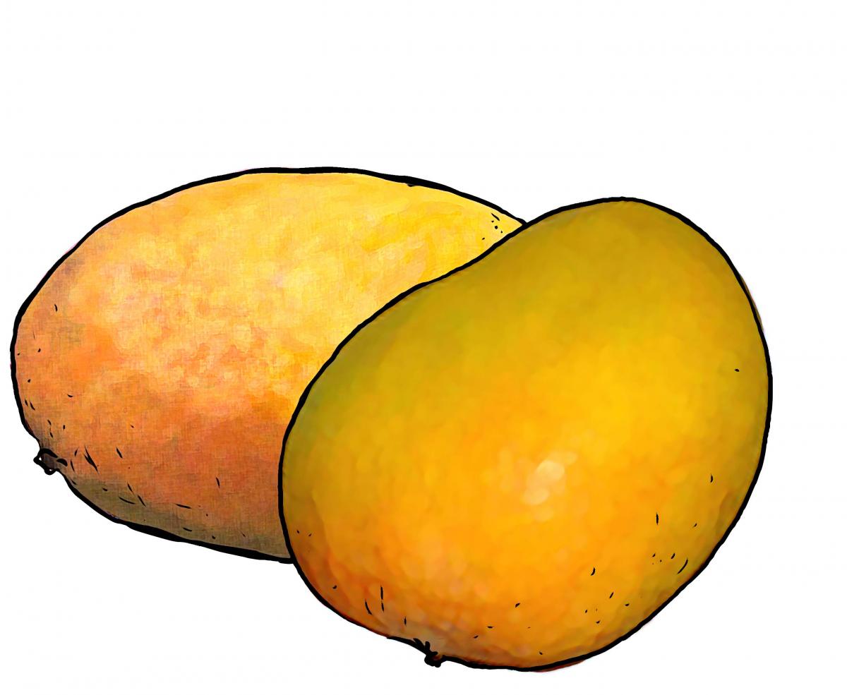 Food - Sweet Potato - 00J - Non-country specific