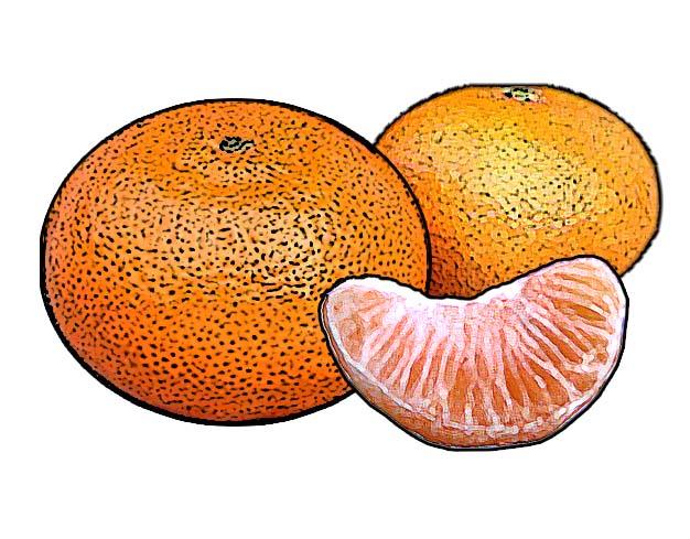 Food - Tangerines - 00O - Non-country specific