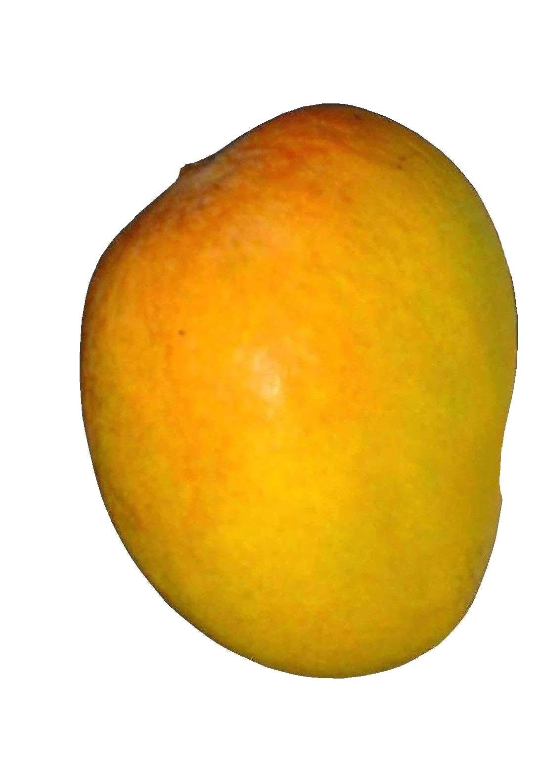 Food - Mango - 00P - Non-country specific