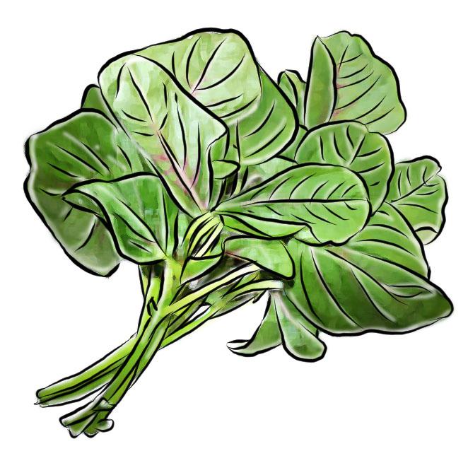 Food - Spinach - 01 - Rwanda
