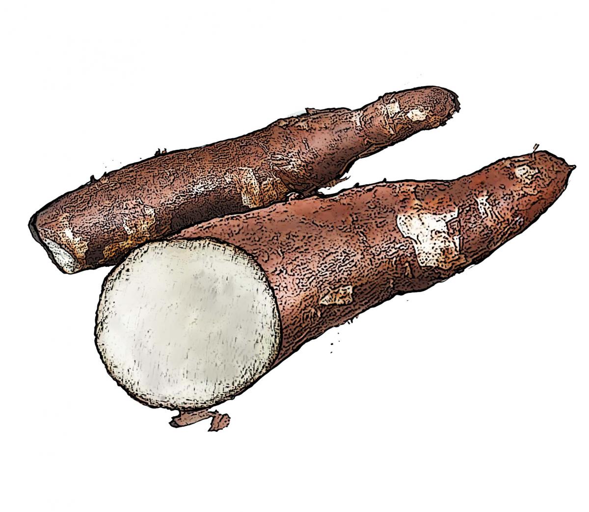 Food - Cassava - 00B - Non-country specific