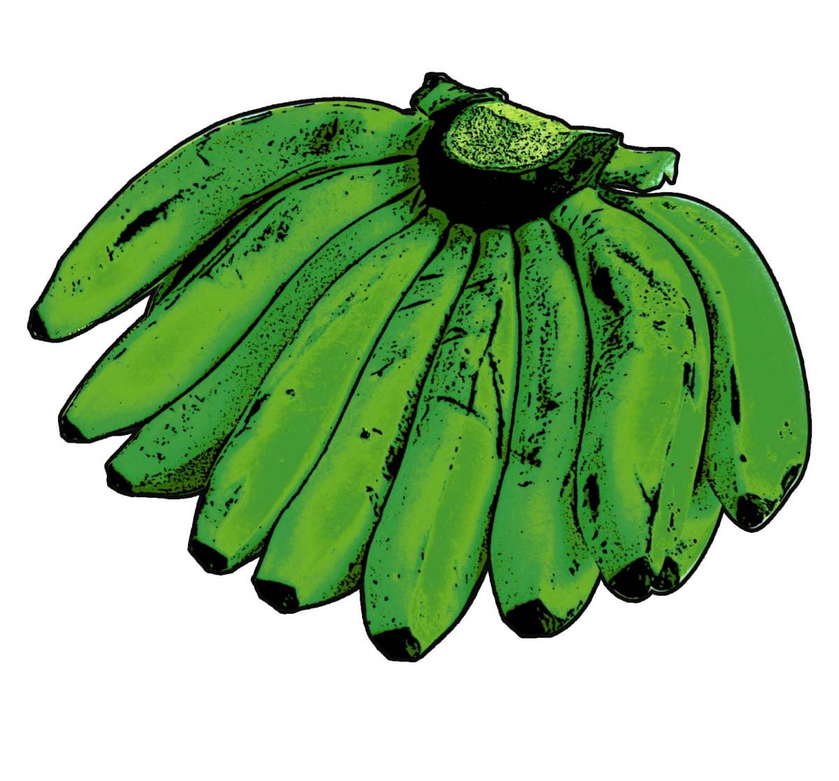 Food - Green Bananas - 00D - Non-country specific