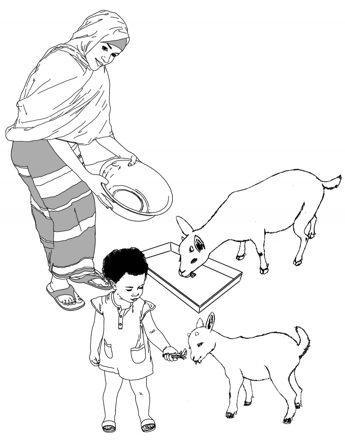 Animals - Feeding animals - 00 - Non-country specific