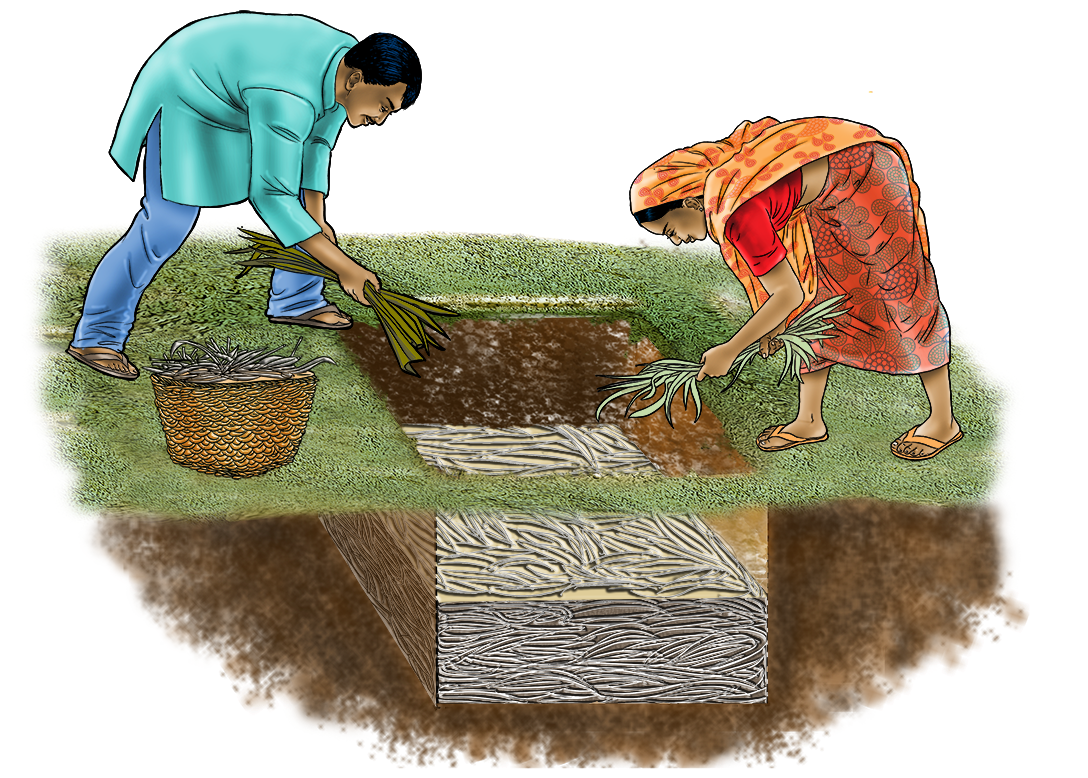 Agriculture - Pit Composting - 03 - India