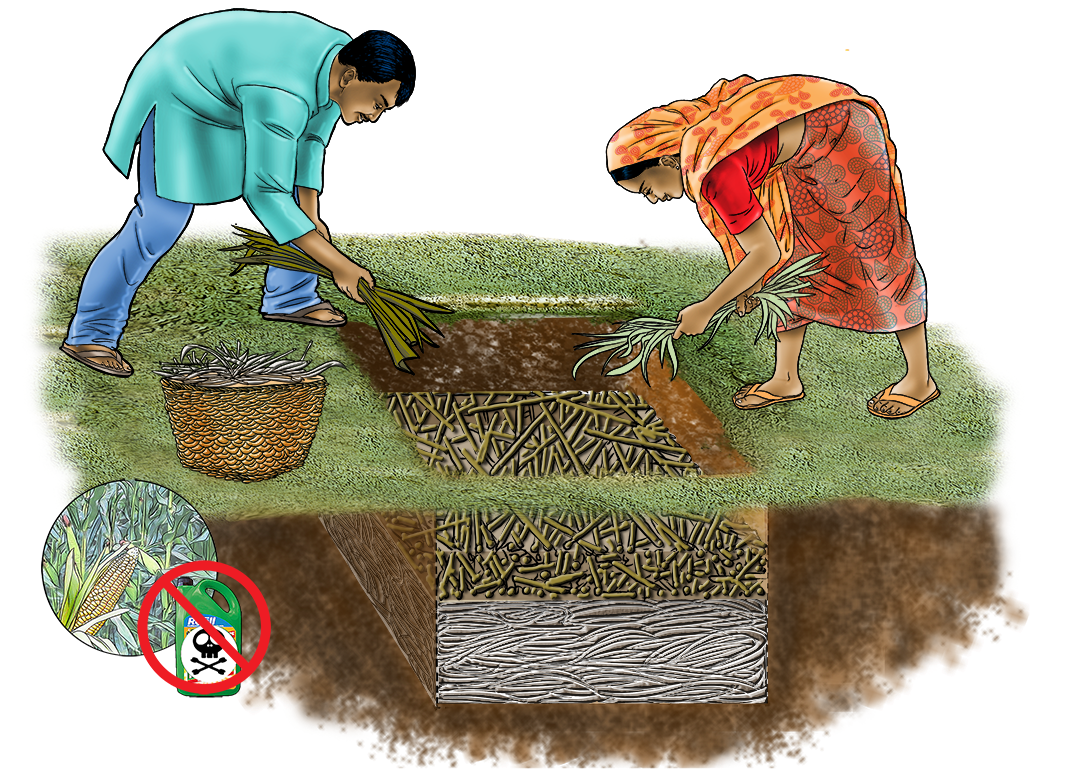 Agriculture - Pit Composting - 04 - India